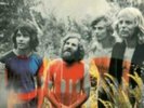 TAMAM SHUD: EVOLUTION (LP vinyl *BRAND NEW*.)