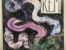 R.E.M. Reckoning Vinyl Reissue