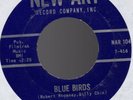 Org THE AMBERS Baby I Need You / Blue Birds 45 Private Press Northern Sweet Soul
