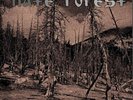 Hate Forest SORROW Limited OSMOSE PRODUCTIONS New Yellow Colored Vinyl LP