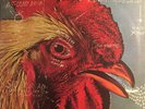 Pavement - Watery, Domestic (Vinyl EP)