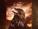 Stranglers - The Raven - 1979 - UA Vinyl LP UAG 24083 (Italy) OIS