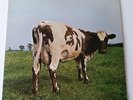 Pink Floyd - Atom Heart Mother - Vinyl LP - UK 1976 Press EX/EX+
