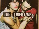 The Libertines Limited Numbered Edition Gatefold 2nd Album