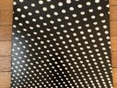 beach house bloom vinyl
