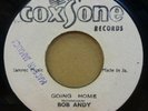 BOB ANDY GOING HOME / STRAIGHT FLUSH JAMAICAN COXSONE 7