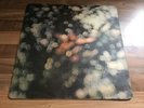Pink Floyd obscured by clouds