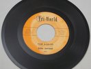 RARE 60S GARAGE ROCK DON SNYDER TIGER A-GO-GO 1964 TRIWORLD TW303 CLEAN PLAYER