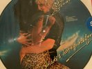 Rod Stewart - Blondes Have More Fun - Picture Disc - Warner Bros. - Never opened