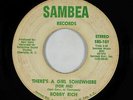 70s Soul 45 - Bobby Rich - There's A Girl Somewhere - Sambea - mp3 - rare