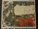 Stone roses i am the resurrection Vinyl