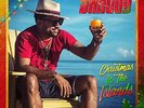 Shaggy - Christmas In the Islands - Double LP Vinyl - NEW