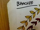 BANCHEE 1ST LP RARE ORIG 1969 M-ATCO ROCK WHITE LABEL PROMO LP-TERRE HAUTE PRESS