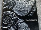 The Sundays - Reading, Writing and Arithmetic-1990 Rough Trade Promo Vinyl Album
