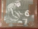 PIXIES - DOOLITTLE 2004 UK/US 180G SEALED Vinyl/LP w HERE COMES YOUR MAN/DEBASER