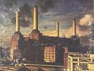 Pink Floyd 