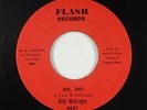 Northern Soul 45 - Billy McGregor - Mr. Shy - Flash - VG+ mp3
