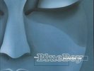 BlueBoy 12