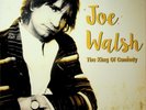 Joe Walsh – The King Of Comedy LIVE 2-LP (NEW 2016) Eagles James Gang