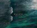 Roo Panes: Pacific 12