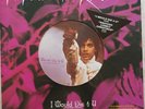 Prince and the Revolution 