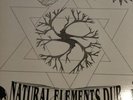 RARE   NATURAL ELEMENTS DUB -DUB REGGAE 1A