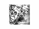 Pearl Handled Revolver - if the devil cast his net (Vinyl)