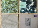 Orbital 5 x Vinyl Bundle: Lush3, Are we here? Radicchio 2, Snivilisation, Saint