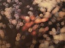 vinyl records lp. Pink Floyd - Obscured by Clouds 1972