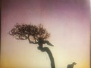 U2 NATIVE SON 2xLP ROCK
