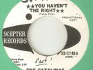 THE CATALINAS You Havent The Right Tick Tock SCEPTER DJ BEACH  NORTHERN SOUL 45