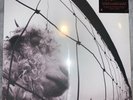 PEARL JAM / VS by Pearl Jam (Record, 2011)