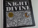 BRIAN FALLON Night Divine COLOR Vinyl LP Record NEW  Christmas GASLIGHT ANTHEM