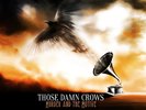 Those Damn Crows - Murder And The Motive NEW Sealed Vinyl LP Album