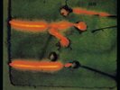 Miroslav Vitous Group - S/T Self-Titled NEW Sealed Vinyl LP Album
