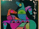 Widespread Panic - Street Dogs 2LP NEW