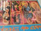 Tiger tailz - Young And Crazy Records Vinyl1987 English Import Hair Metal SEALED