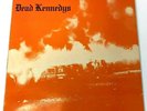 DEAD KENNEDYS Fresh Fruit For Rotting Vegetables LP 1981 IRS Punk Orange Poster