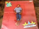 DANIEL RUIZ CUMBIAS CON AMOR LP*NEAR MINT CONDITION*DIFICIL DE ENCONTRAR*PROMO*