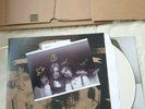 Wych Elm -  Rabbit Wench EP -  Ltd 12'' CREAM Vinyl  + Signed Print