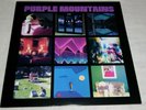 Purple Mountains Vinyl NEAR-AS-NEW Silver Jews Bill Callahan Elliott Smith RARE