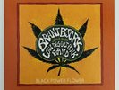 BRANT BJORK AND THE LOW DESERT PUNK BAND - 