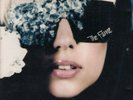 10% Off  Lady Gaga, The Fame, Vinyl. 2LPs both Excellent, Cover and Sleeves VG+