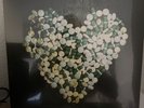 Alkaline Trio - This Addiction NEW & SEALED) RARE Gold Vinyl Ltd /500