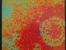 Eno 5 LP Centrifugal music for palaces, for fans vol.2, live1970's+Talking Heads