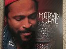 Marvin Gaye - Collected - Greatest Hits - EX Condition - 2 x LP - Music On Vinyl