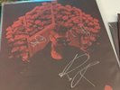 HAND-SIGNEDDES ROCS this Is Our Lifesplatter  Import Rare x/300 SOLD-OUT
