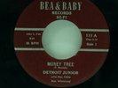 Detroit Junior-Money Tree/So Unhappy-Bea & Baby 111-CHICAGO BLUES
