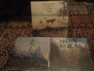 Bill Callahan (SMOG) 3 Vinyl LPs/ Dream River, Apocalypse, Sometimes I Wish We..