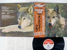 DARRYL WAY'S WOLF CANIS LUPUS DERAM LAX-1036 JAPAN OBI VINYL LP